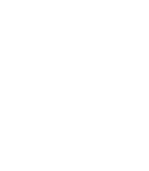 bostik